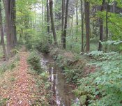 Před 1