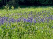 Img_6568 Img_6568